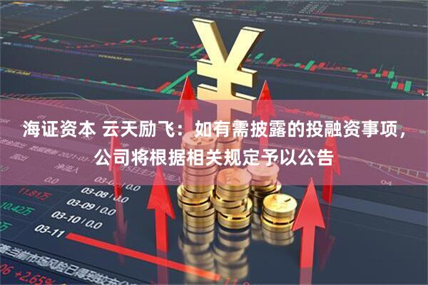 海证资本 云天励飞：如有需披露的投融资事项，公司将根据相关规定予以公告