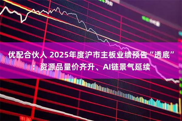 优配合伙人 2025年度沪市主板业绩预告“透底”：资源品量价齐升、AI链景气延续
