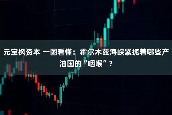 元宝枫资本 一图看懂：霍尔木兹海峡紧扼着哪些产油国的“咽喉”？